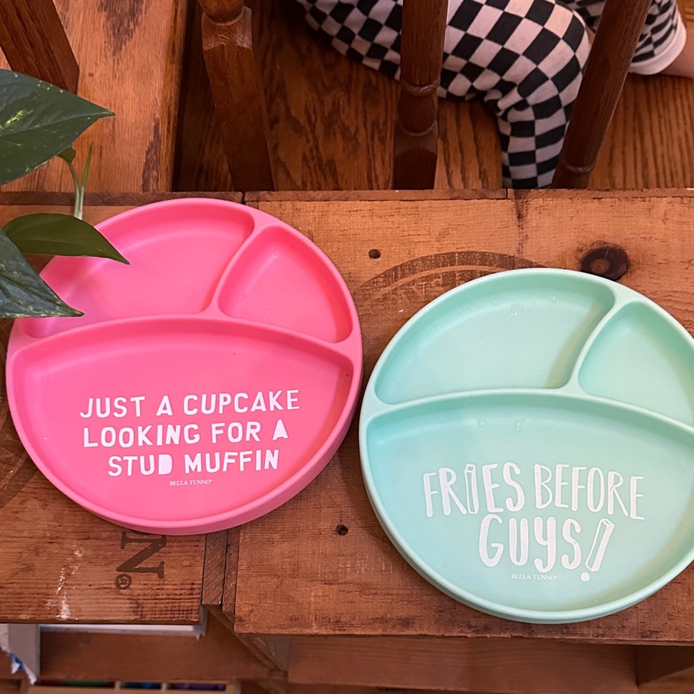 Bella Tunno Pink and Mint Divided Plates